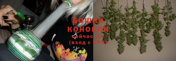 прущие грибы Верхний Тагил