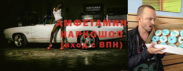 прущие грибы Верхний Тагил