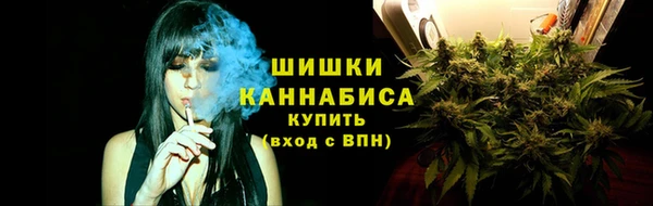 гашик Белоозёрский