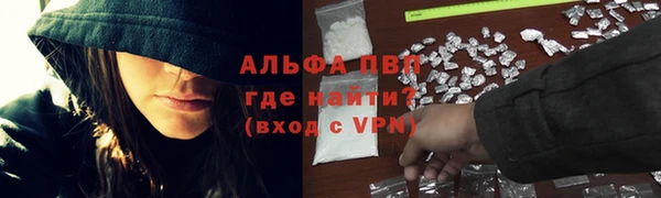 гашик Белоозёрский