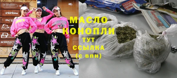 дживик Бородино