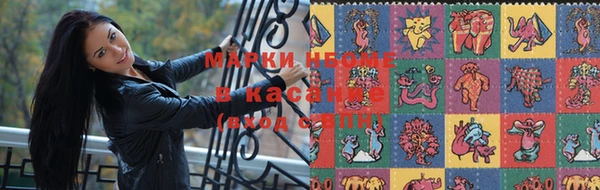 дживик Бородино