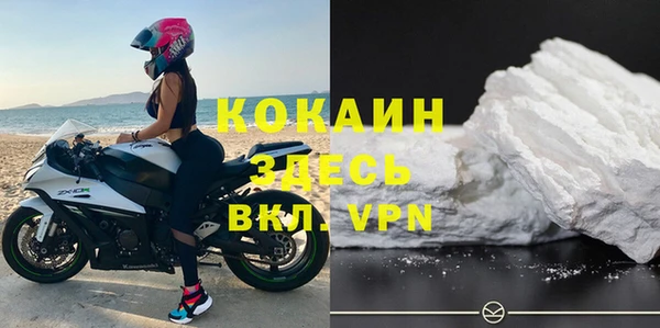 гашик Белоозёрский