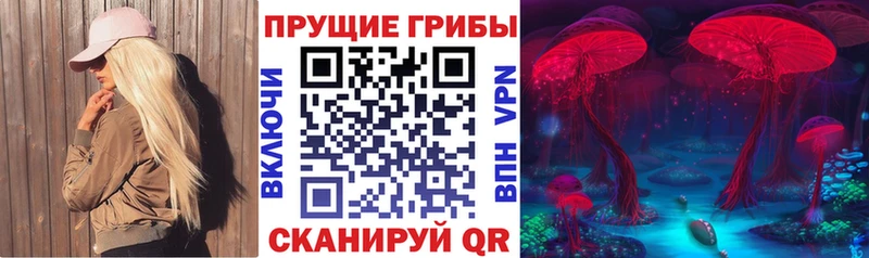 Галлюциногенные грибы прущие грибы  Купить закладки  Сатка 